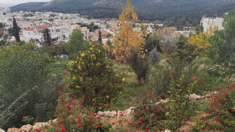 Πάρκο «ΘΕΑ Δ.Χ.», Δήμου Χαϊδαρίου